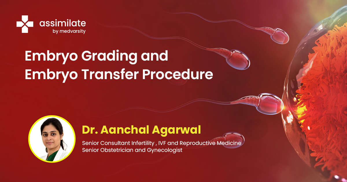 Embryo Grading and Embryo Transfer Procedure