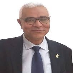 DR. ABDELMONEM AWAD M. HEGAZY​ Profile Image