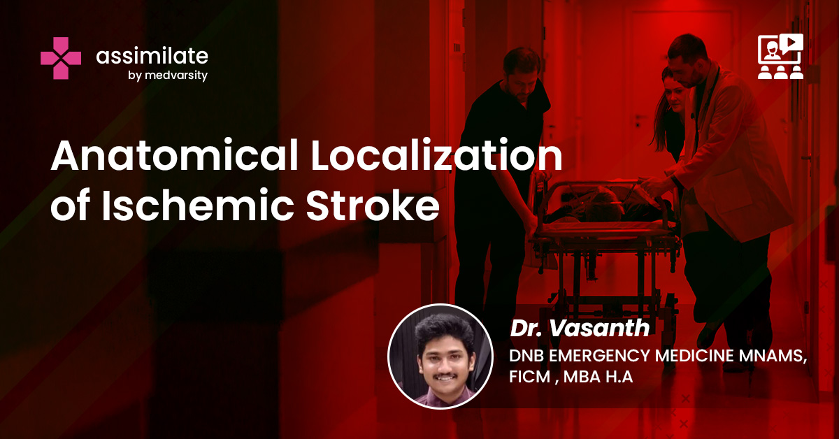 Anatomical Localization of Ischemic Stroke