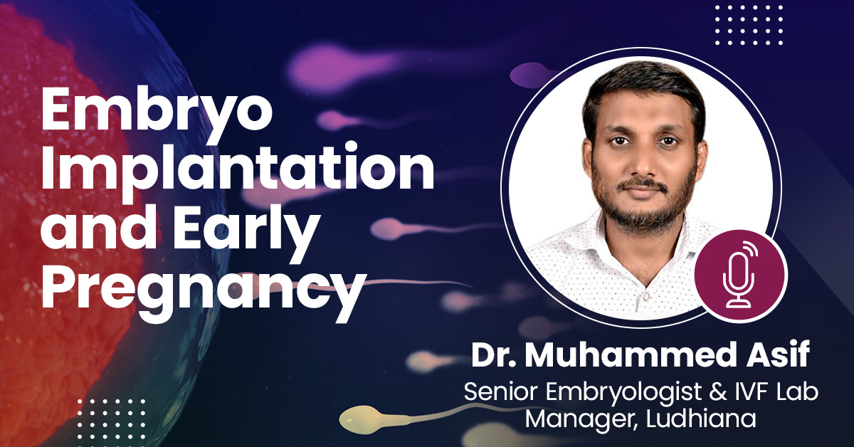 Embryo Implantation and Early Pregnancy